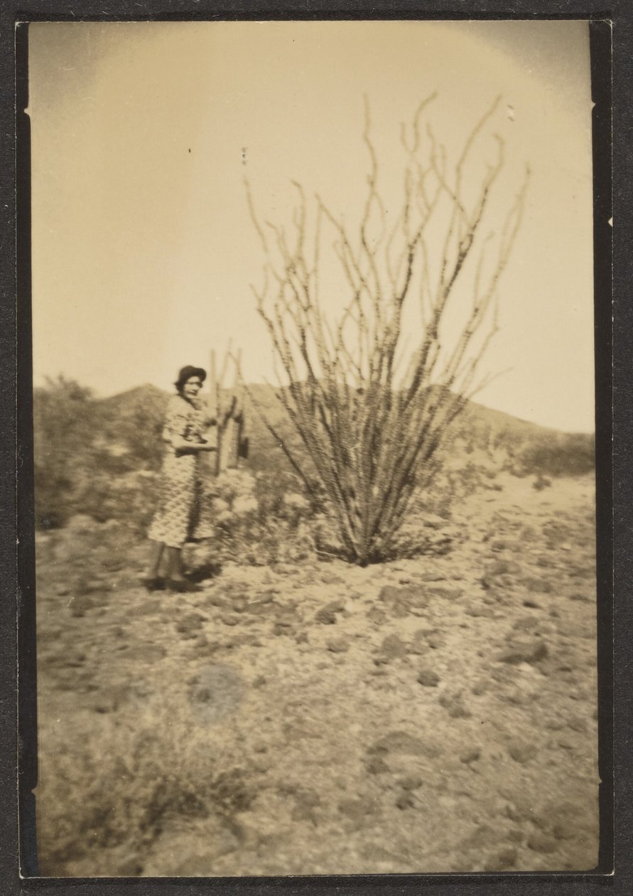  by Louis Fleckenstein