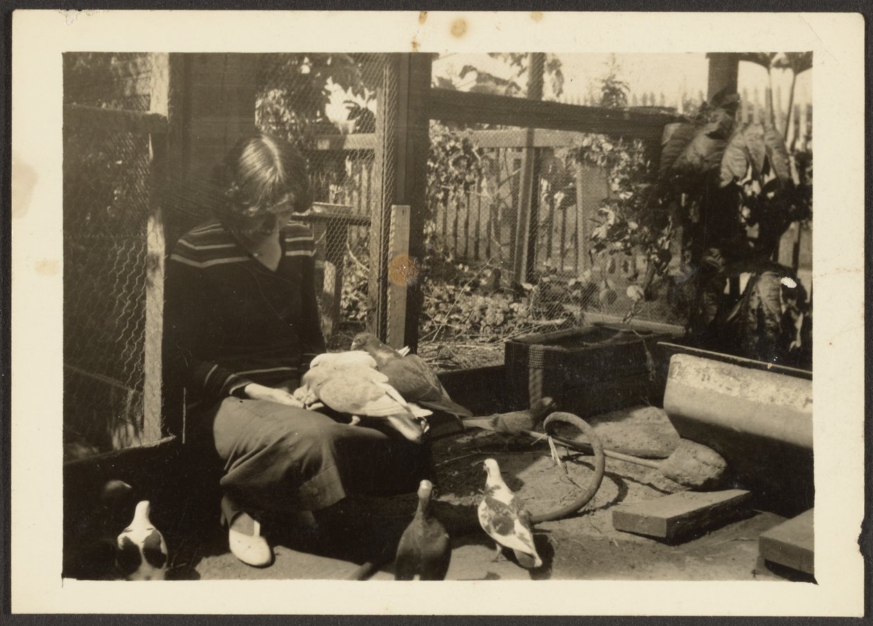  by Louis Fleckenstein