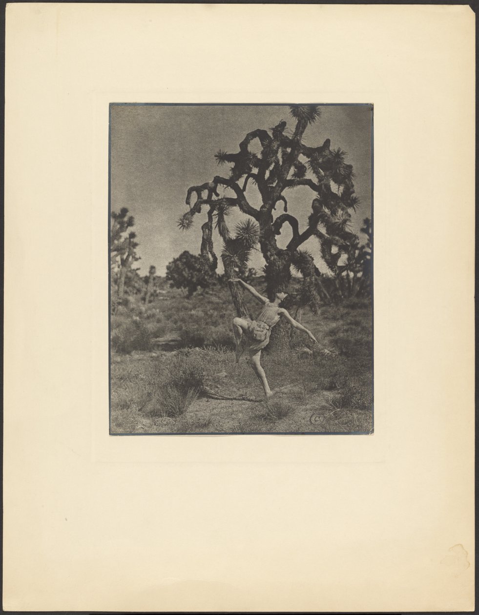  by Louis Fleckenstein