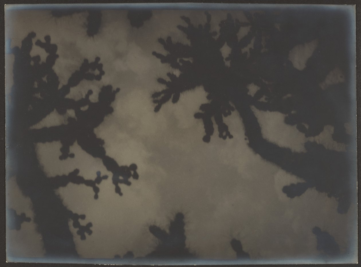  by Louis Fleckenstein