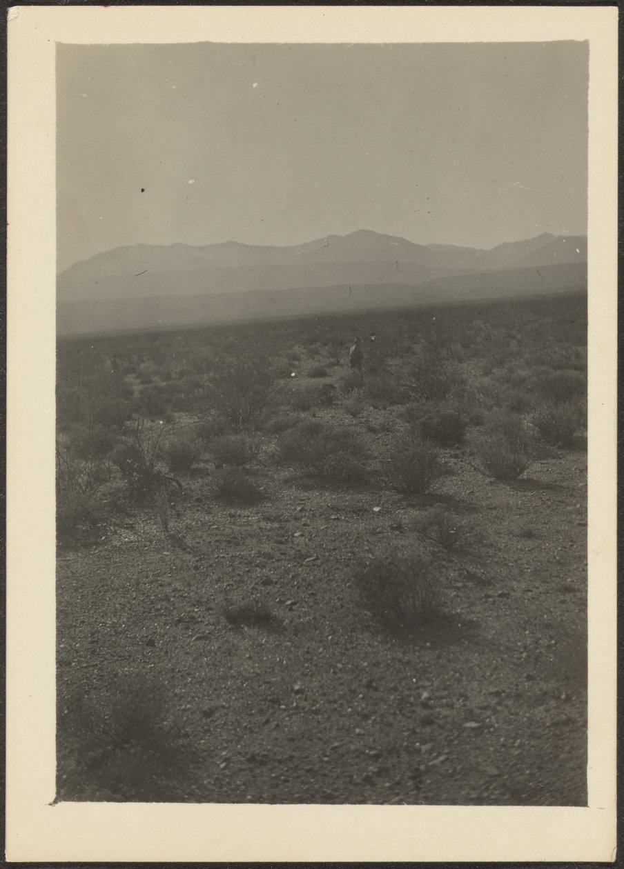  by Louis Fleckenstein