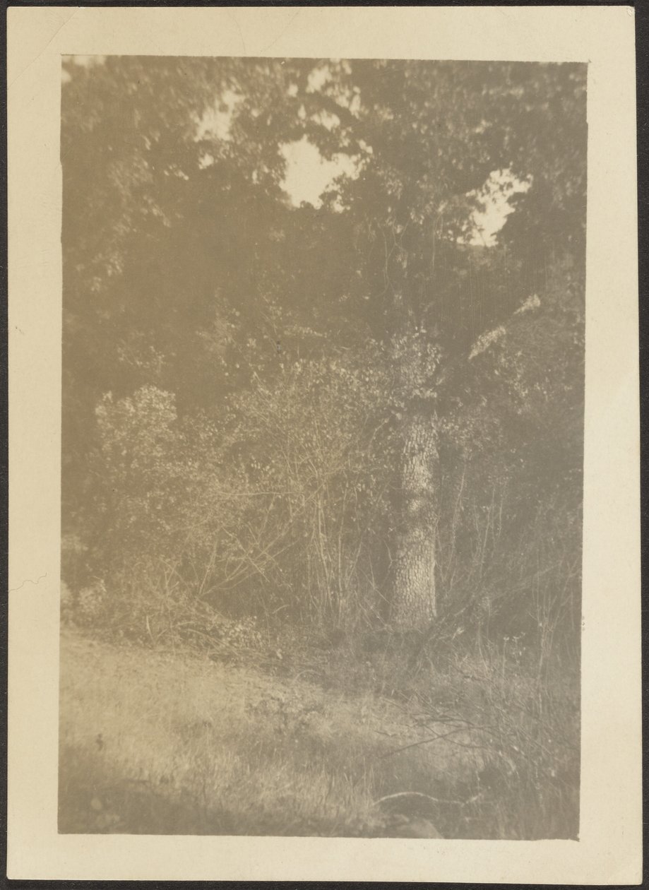  by Louis Fleckenstein