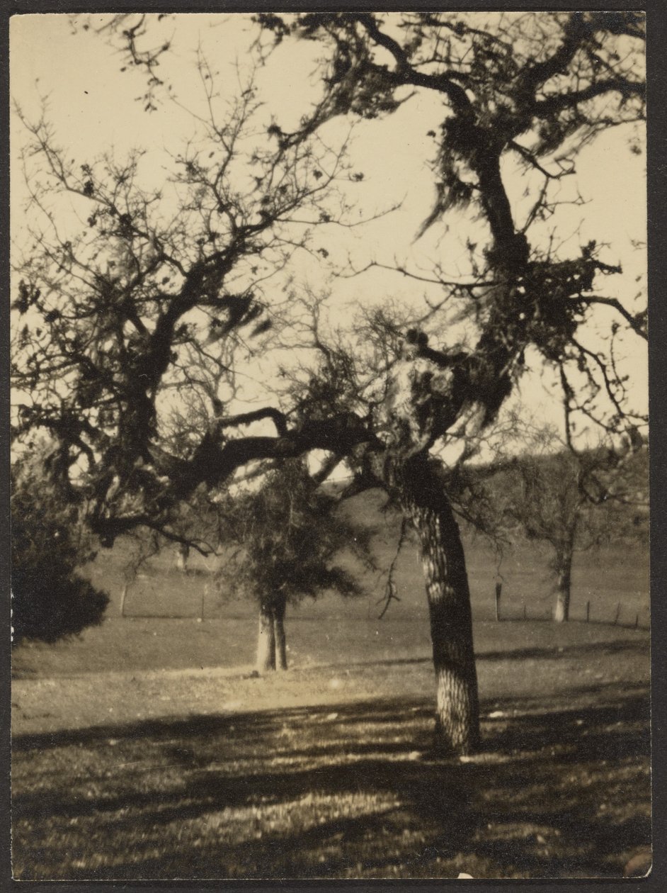  by Louis Fleckenstein