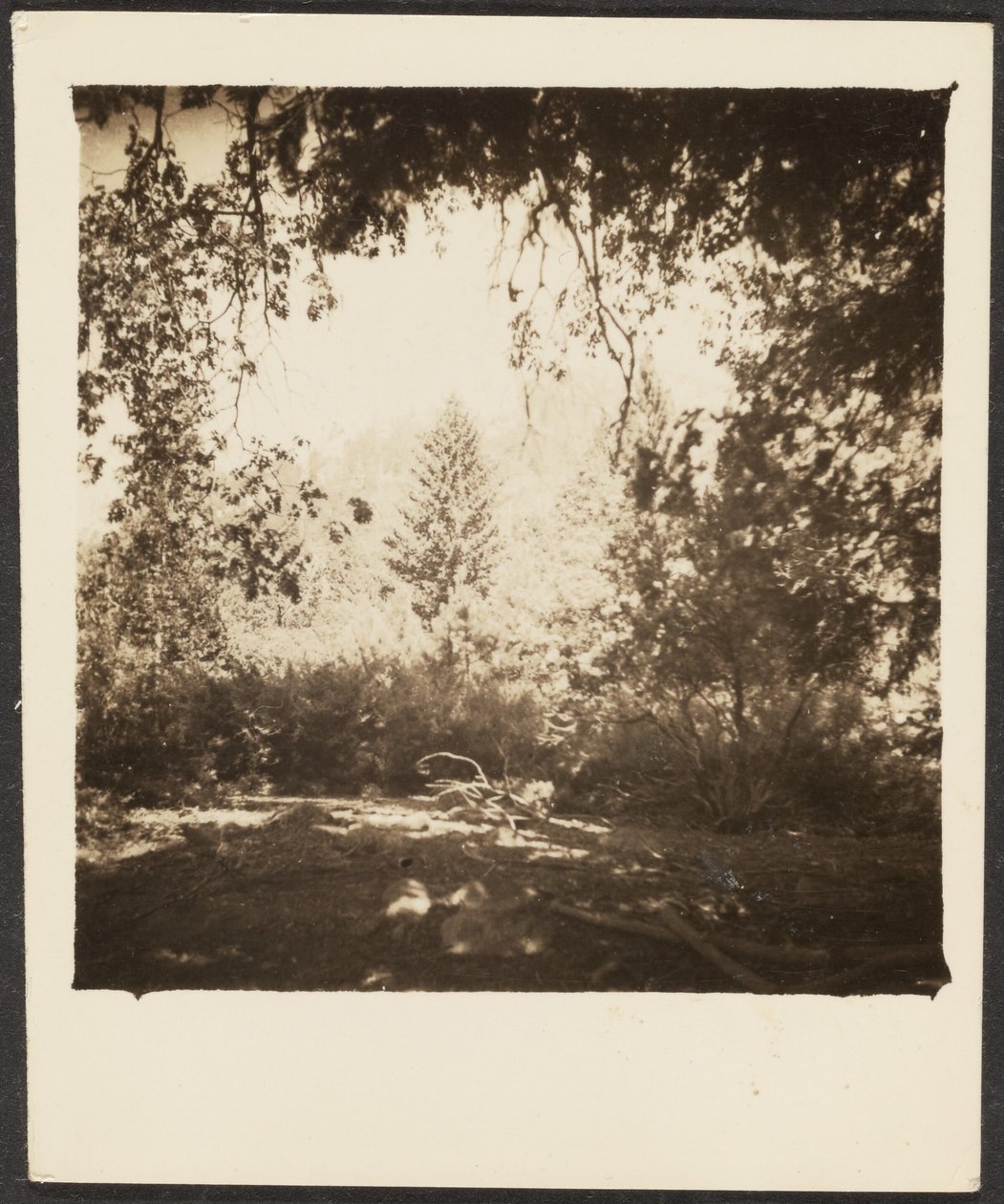  by Louis Fleckenstein