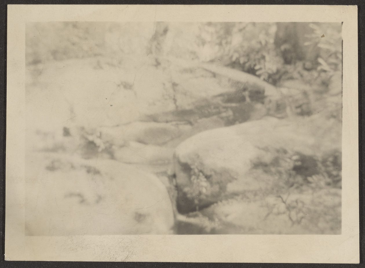  by Louis Fleckenstein