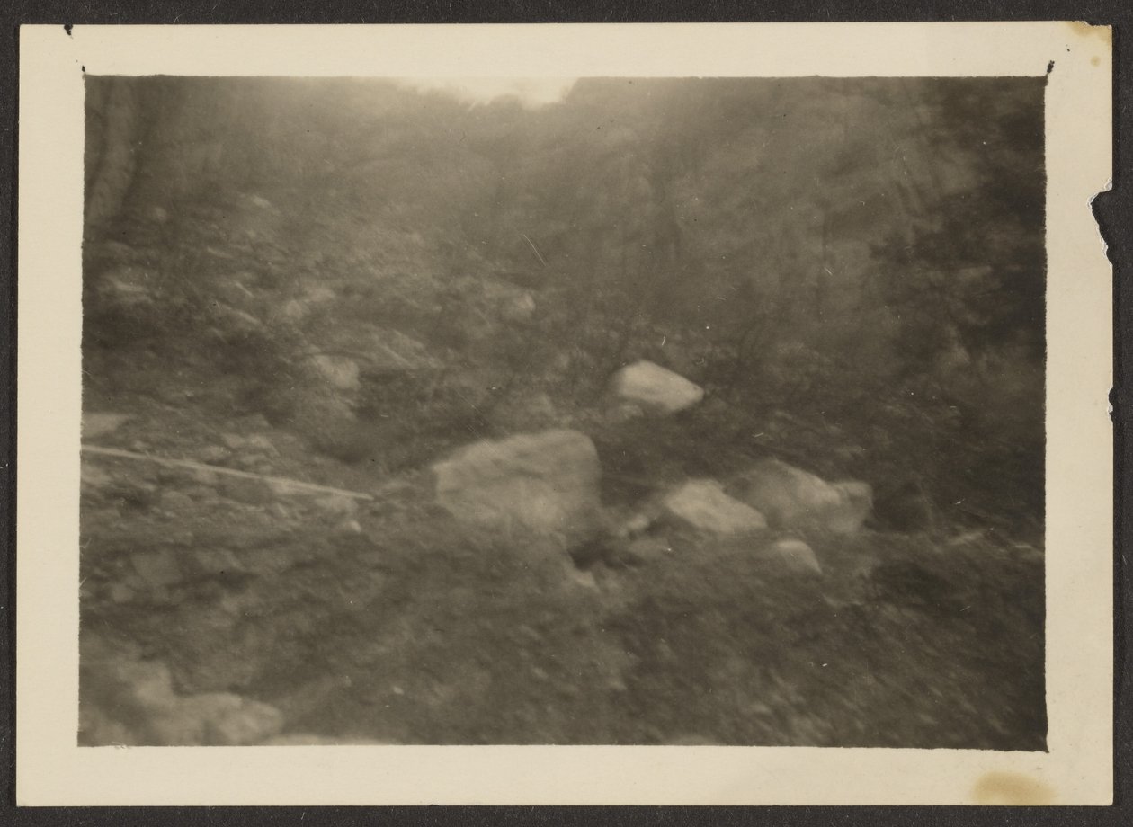  by Louis Fleckenstein