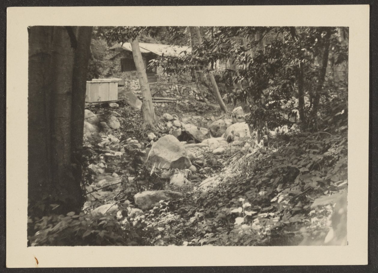  by Louis Fleckenstein