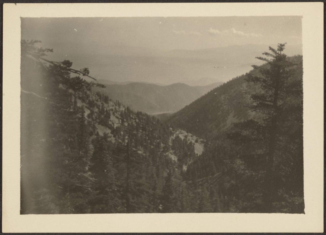  by Louis Fleckenstein