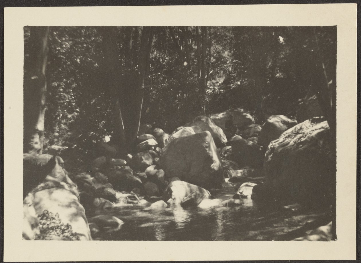  by Louis Fleckenstein