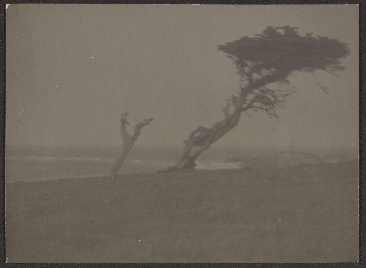  by Louis Fleckenstein