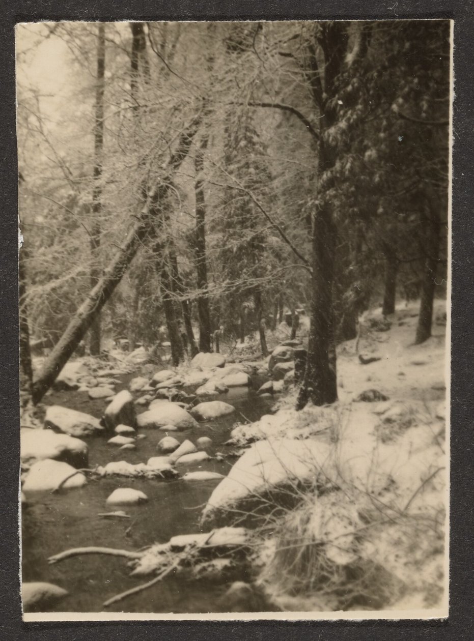  by Louis Fleckenstein