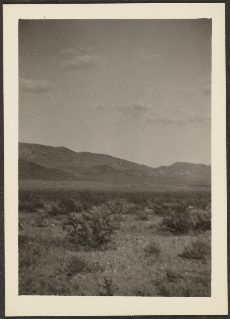 by Louis Fleckenstein
