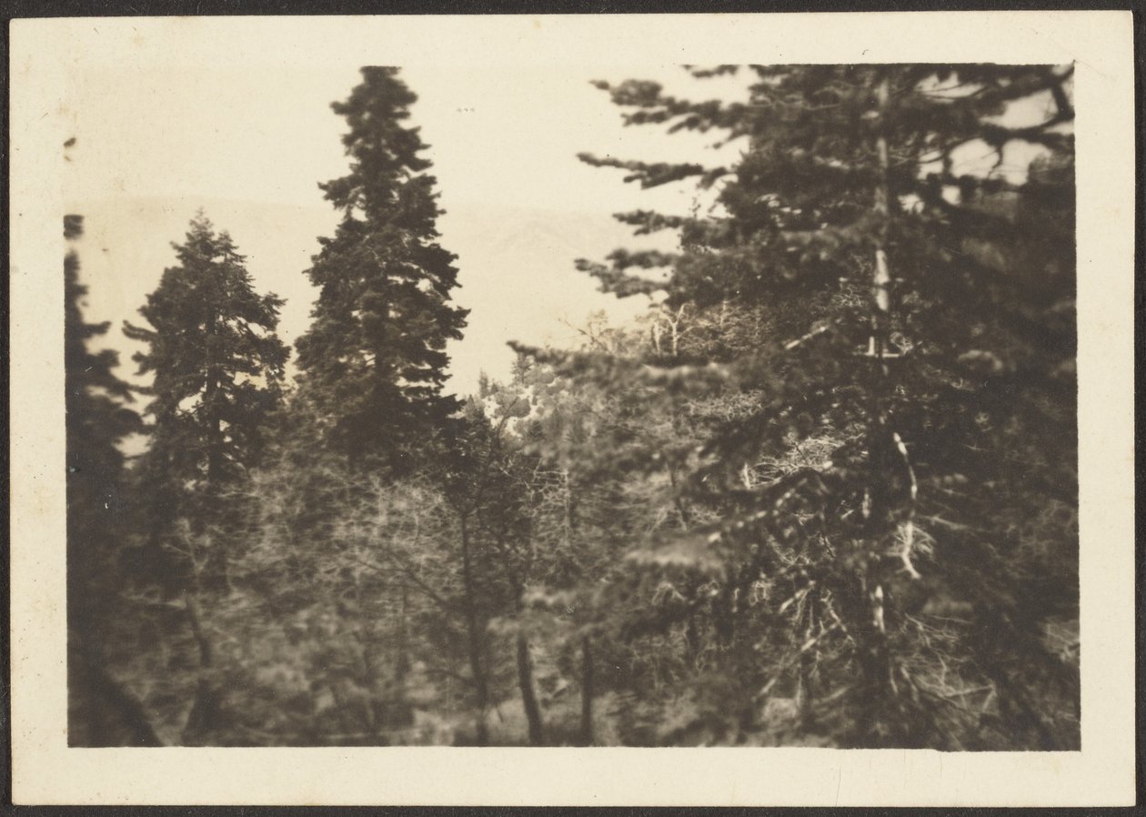  by Louis Fleckenstein