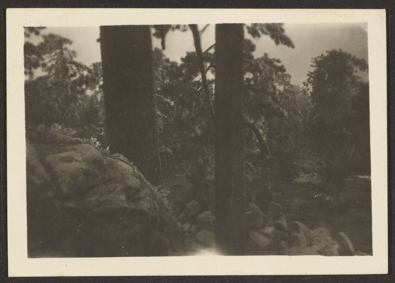  by Louis Fleckenstein