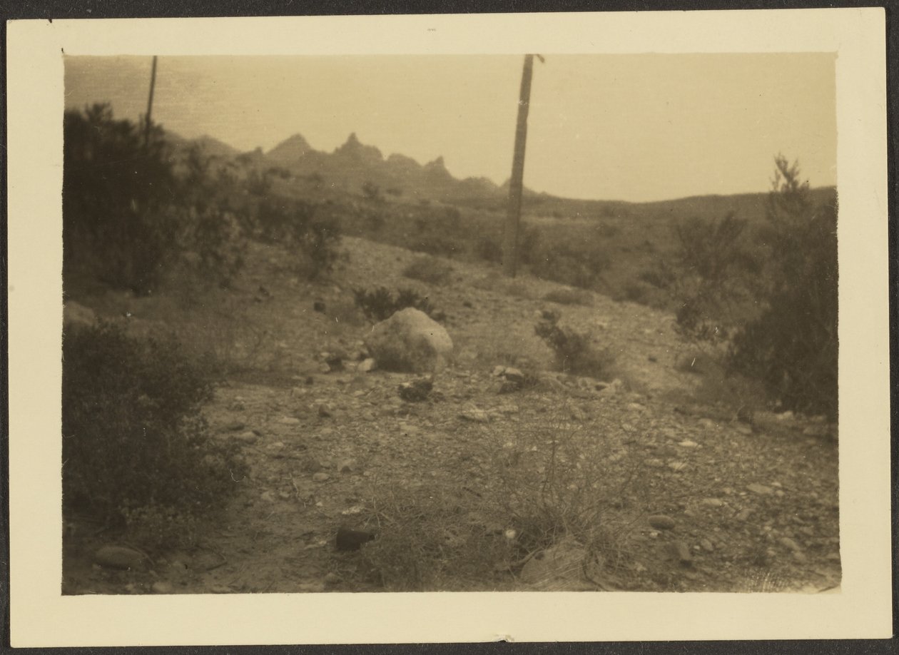  by Louis Fleckenstein