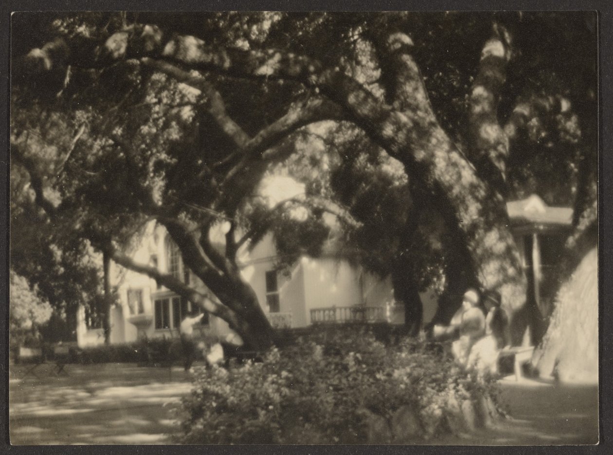  by Louis Fleckenstein