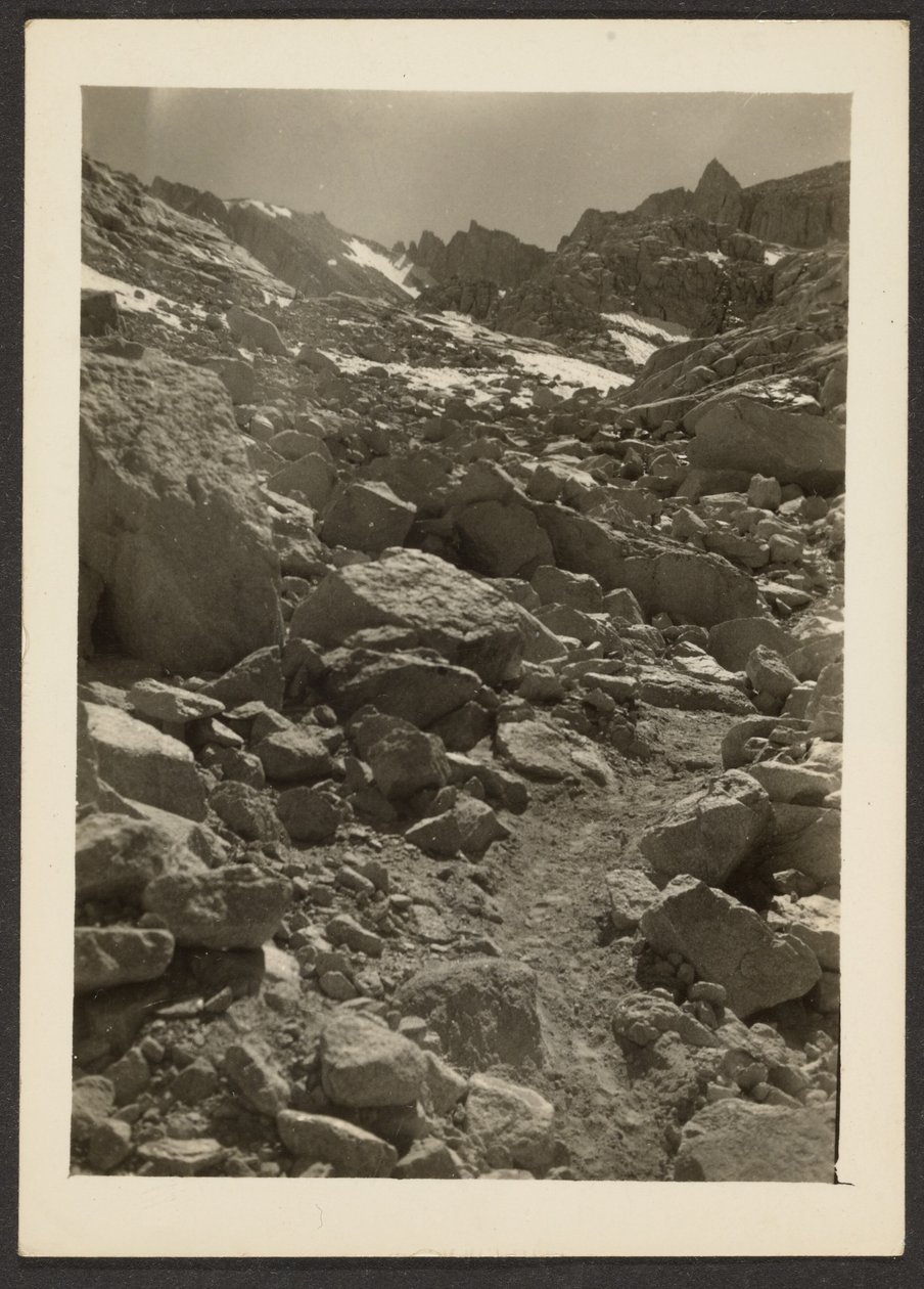  by Louis Fleckenstein