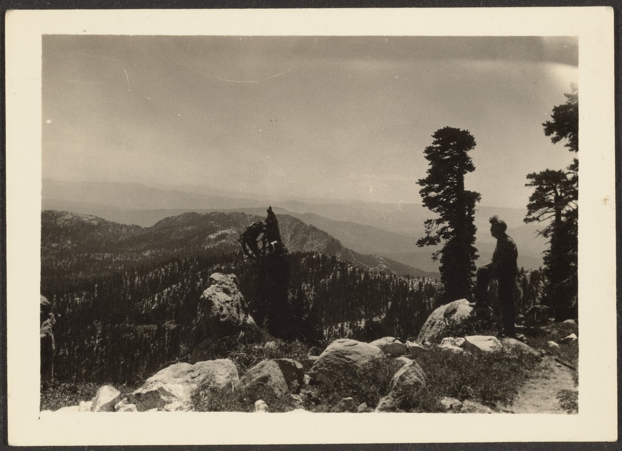  by Louis Fleckenstein