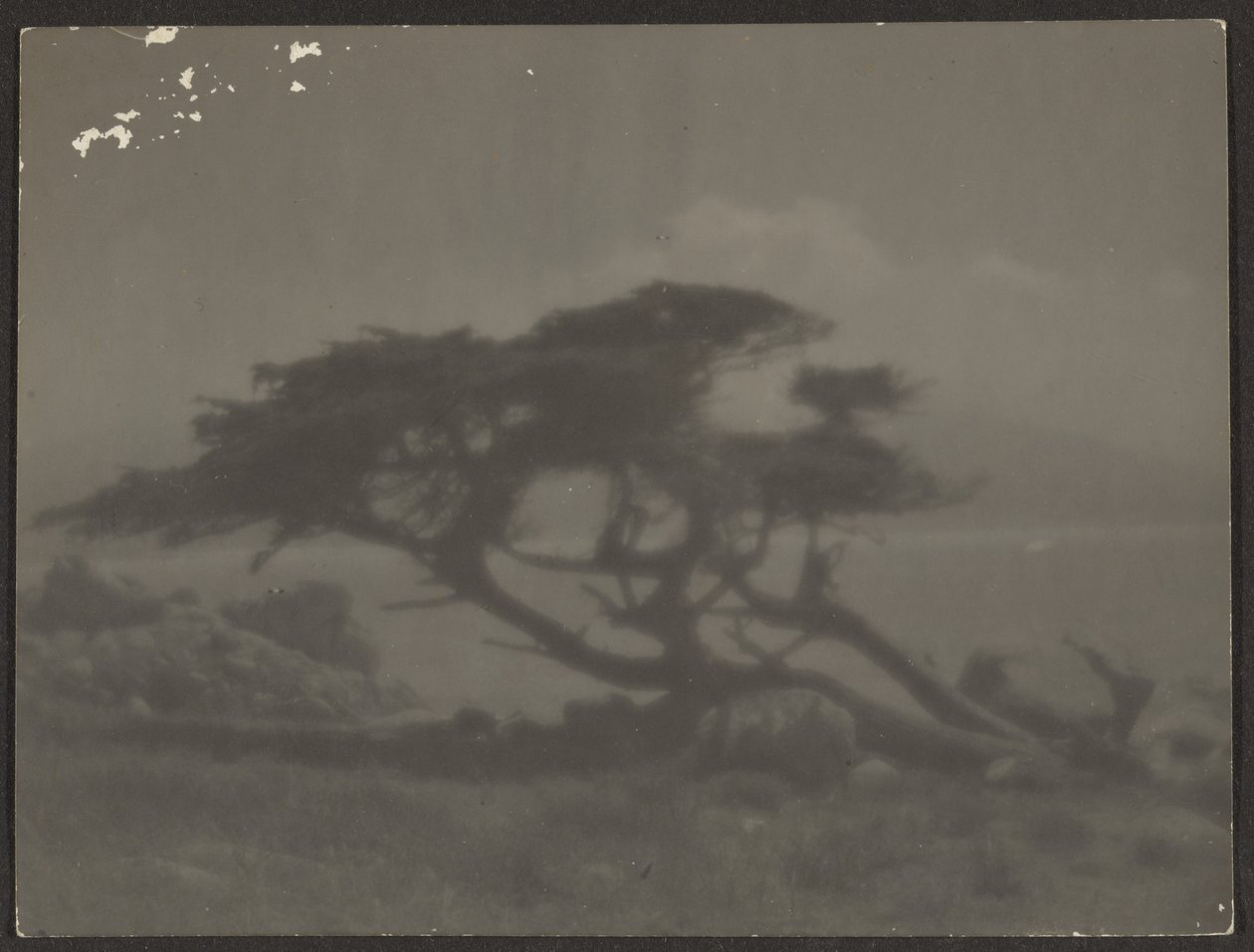 by Louis Fleckenstein