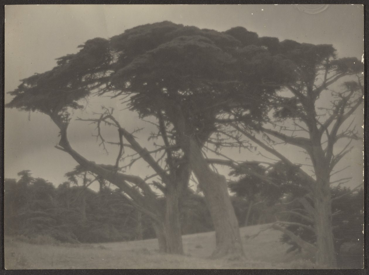  by Louis Fleckenstein