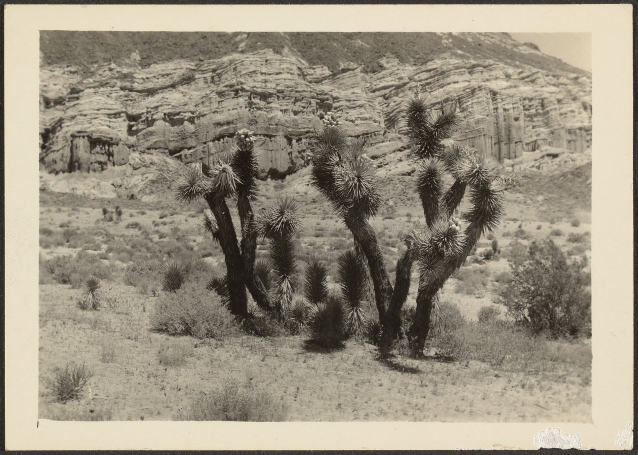  by Louis Fleckenstein