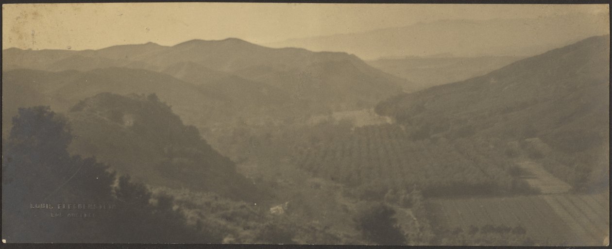  by Louis Fleckenstein