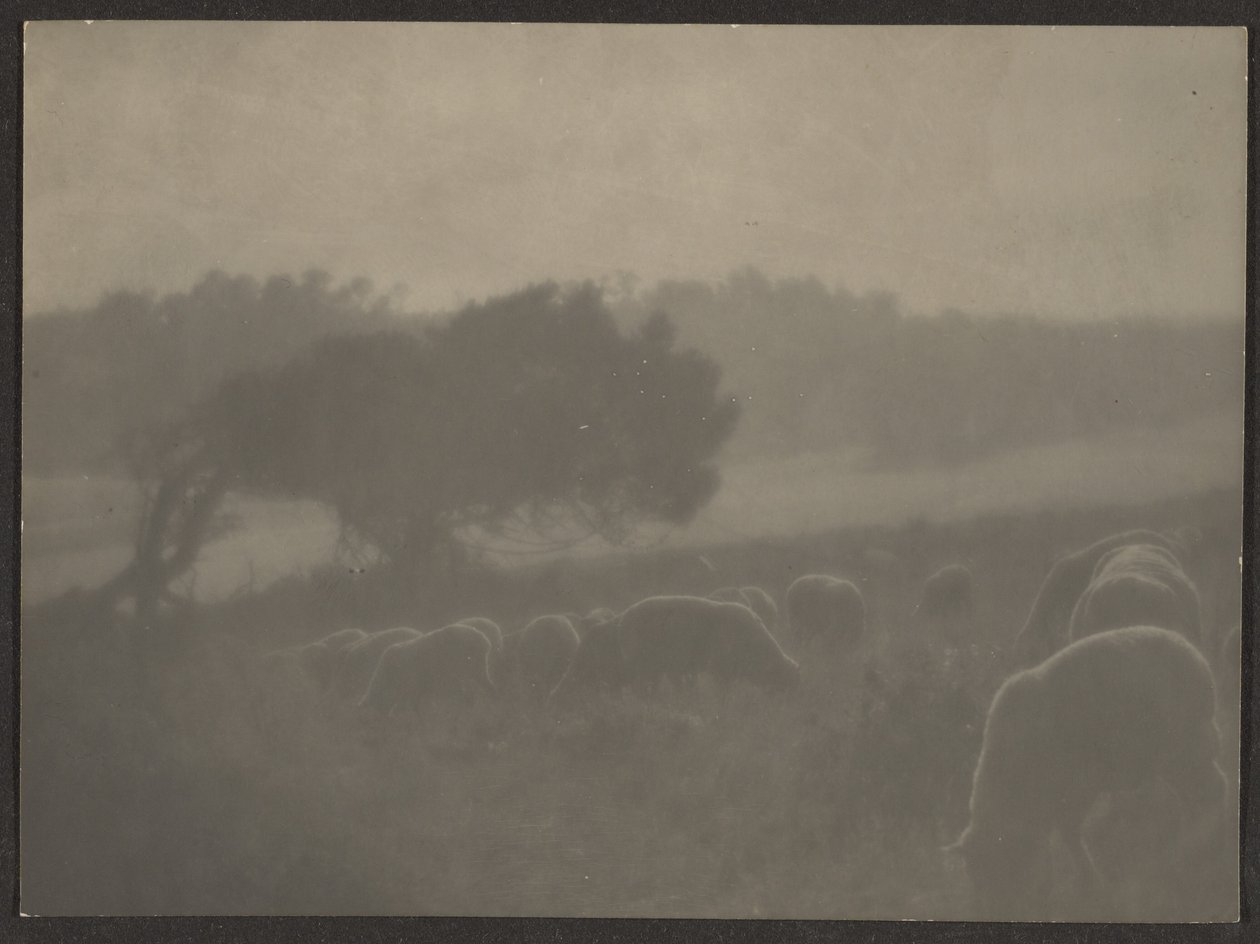  by Louis Fleckenstein