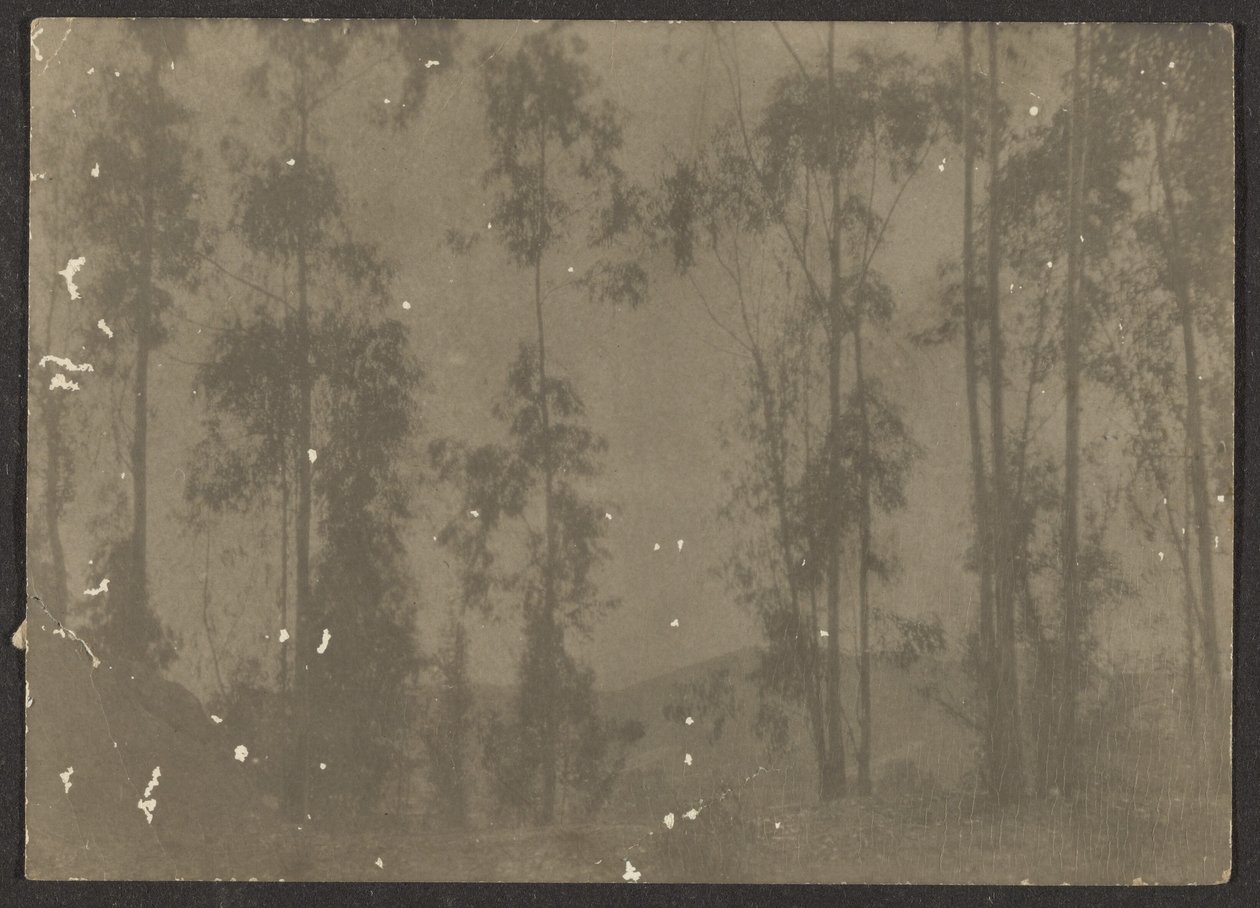 by Louis Fleckenstein