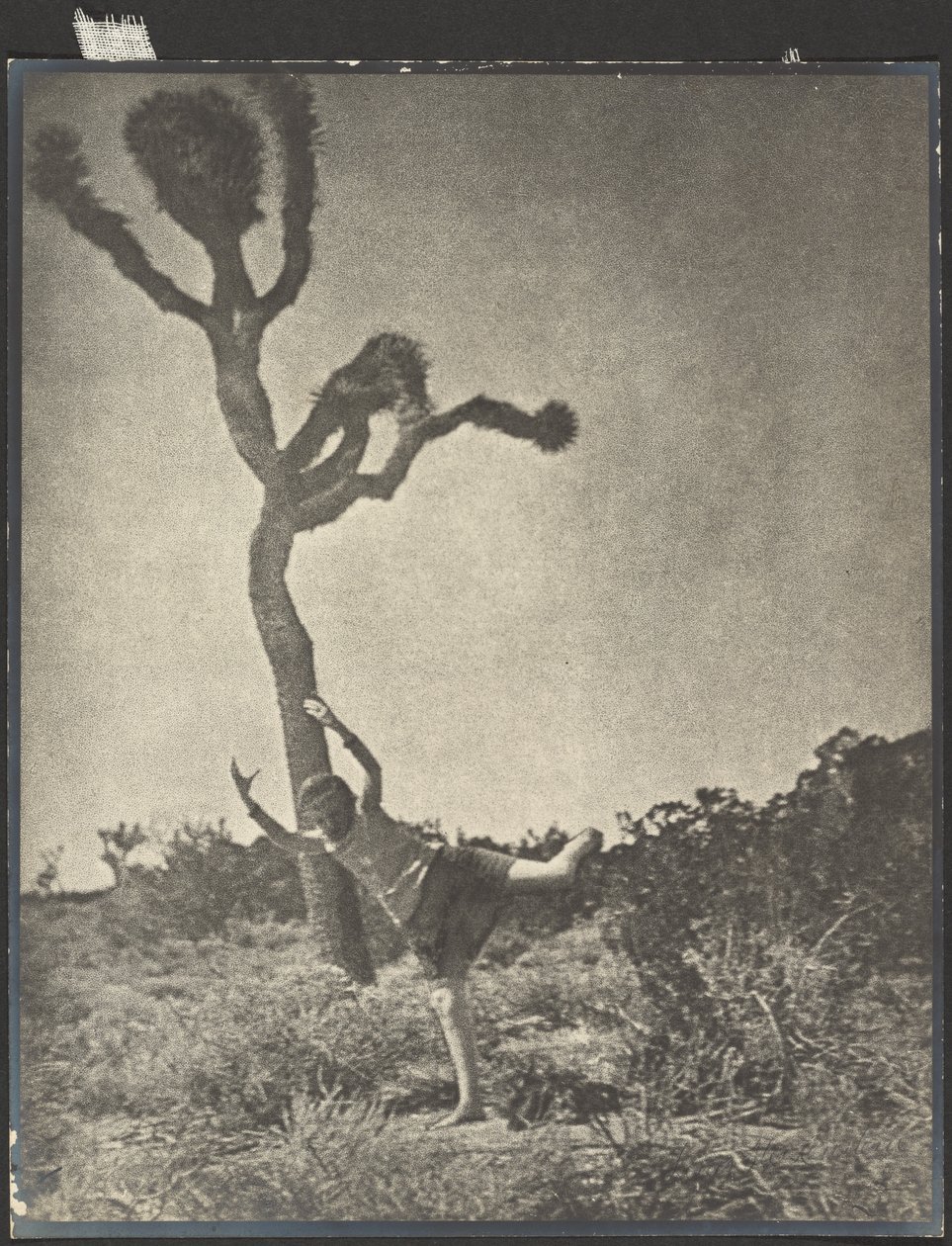  by Louis Fleckenstein