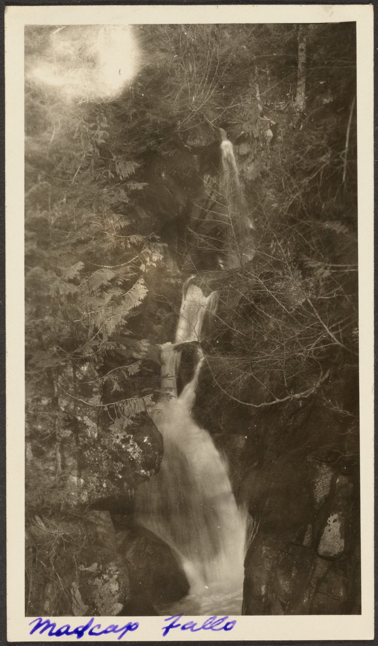  by Louis Fleckenstein