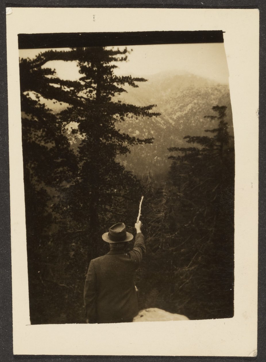  by Louis Fleckenstein