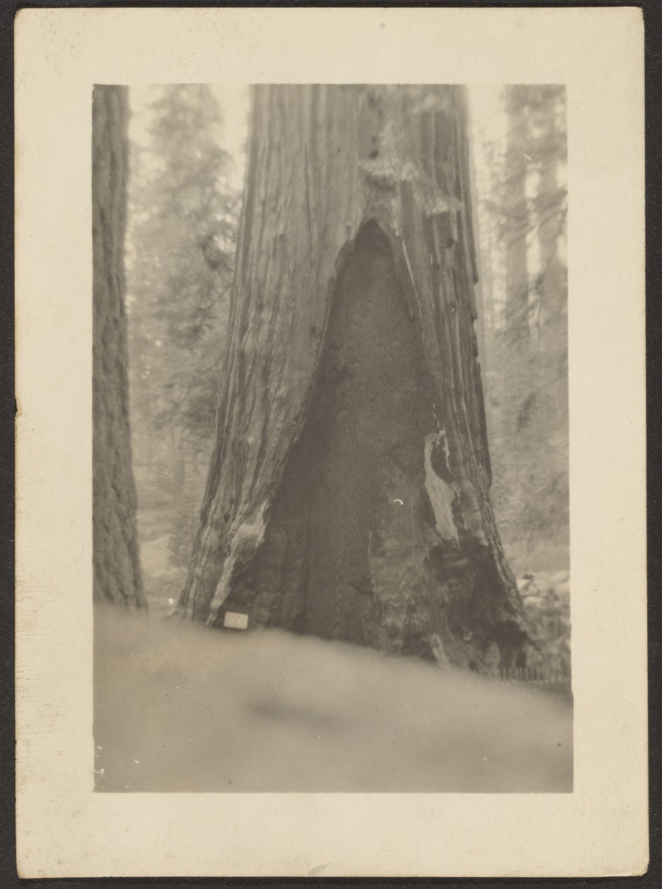  by Louis Fleckenstein