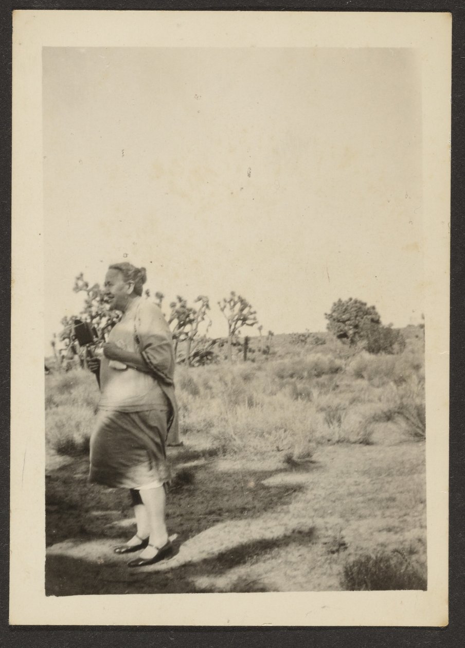  by Louis Fleckenstein