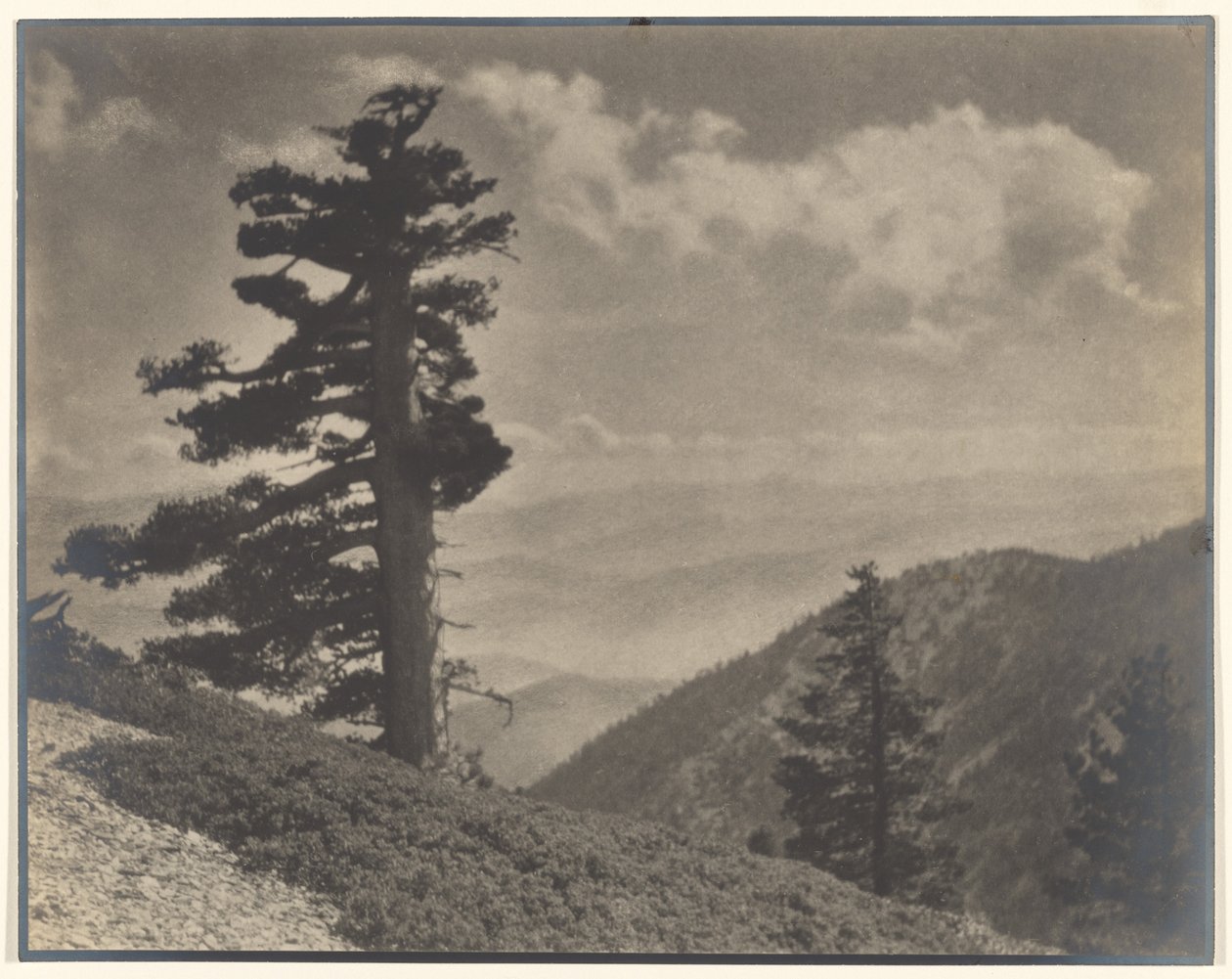  by Louis Fleckenstein