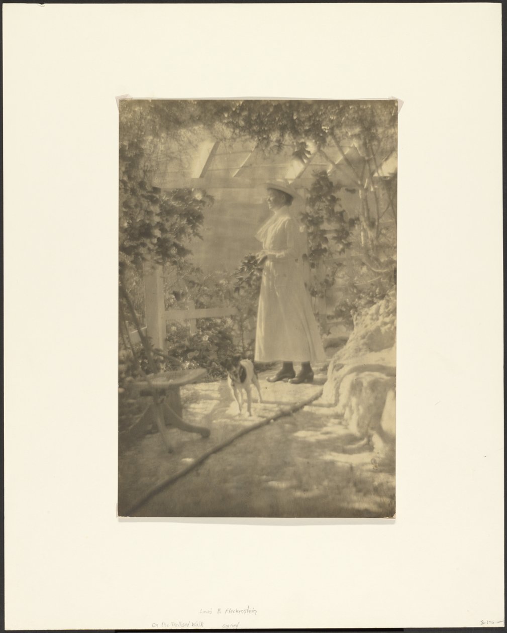  by Louis Fleckenstein
