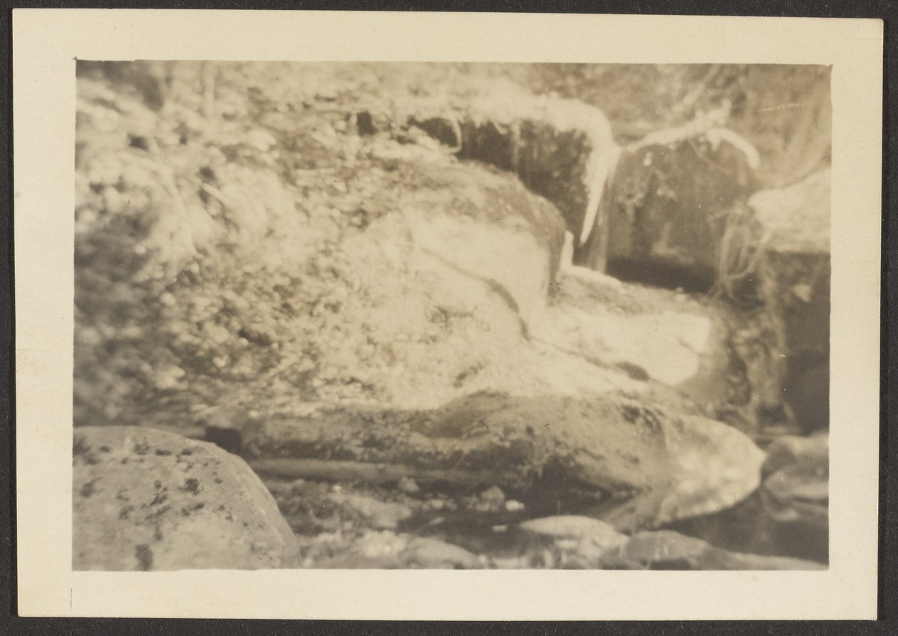  by Louis Fleckenstein