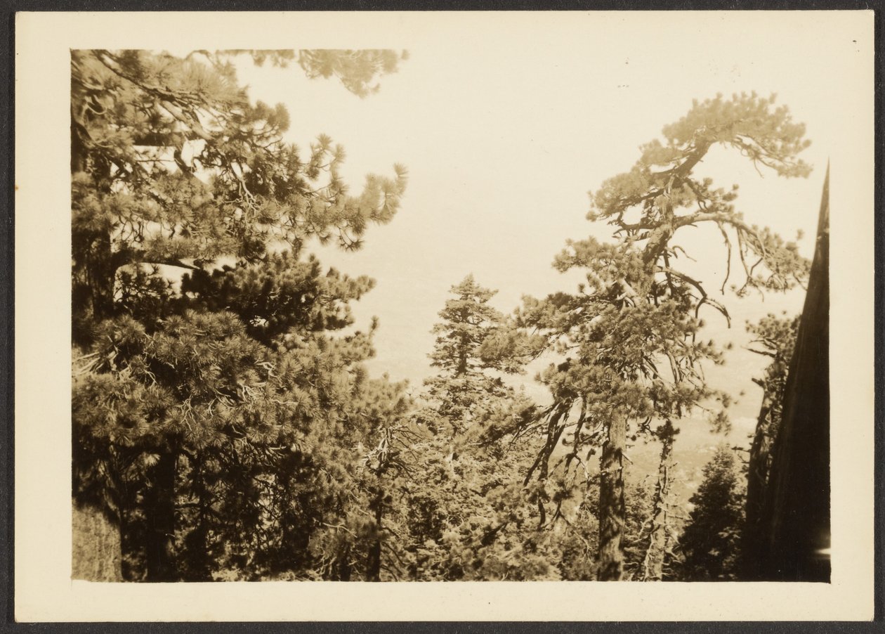  by Louis Fleckenstein