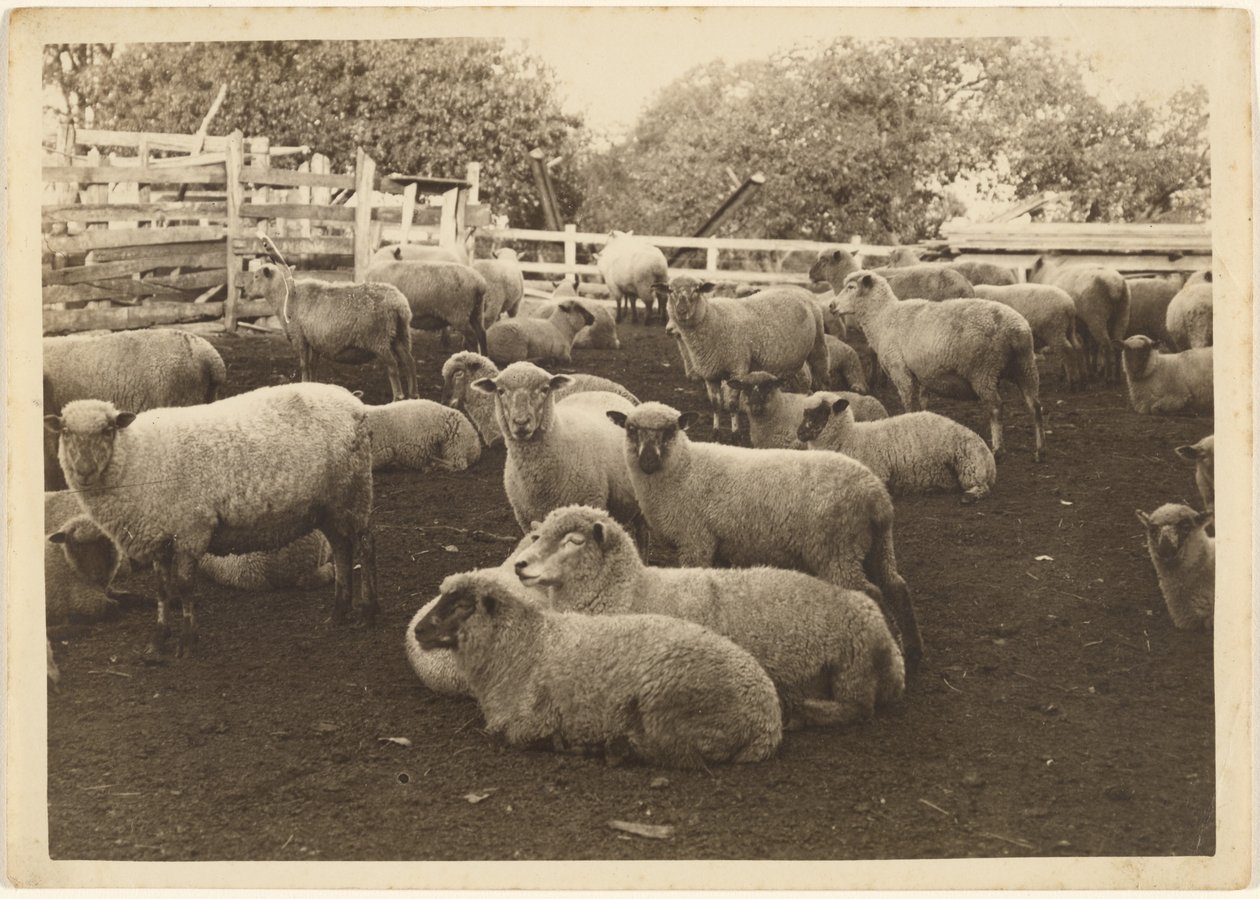  by Louis Fleckenstein