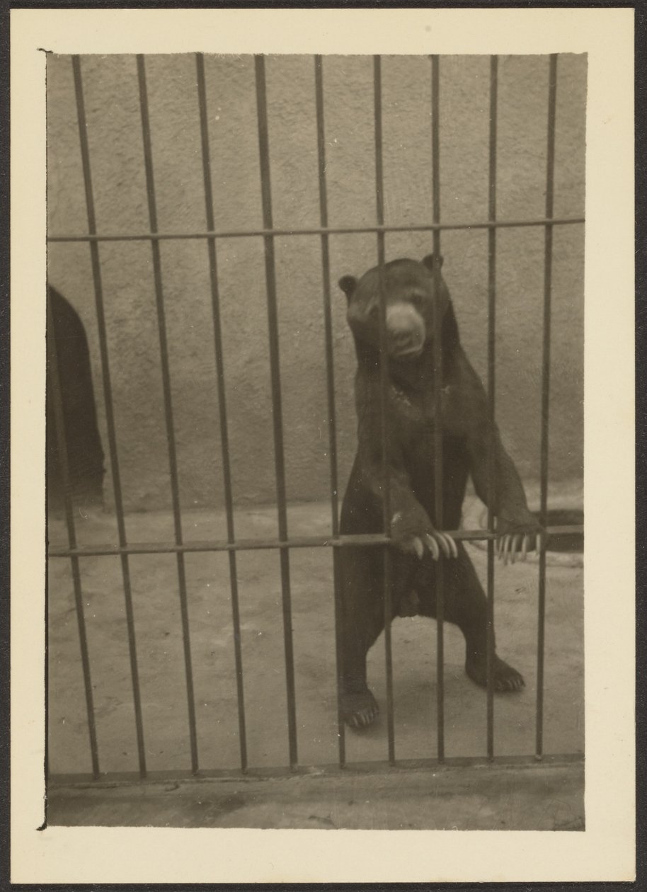  by Louis Fleckenstein