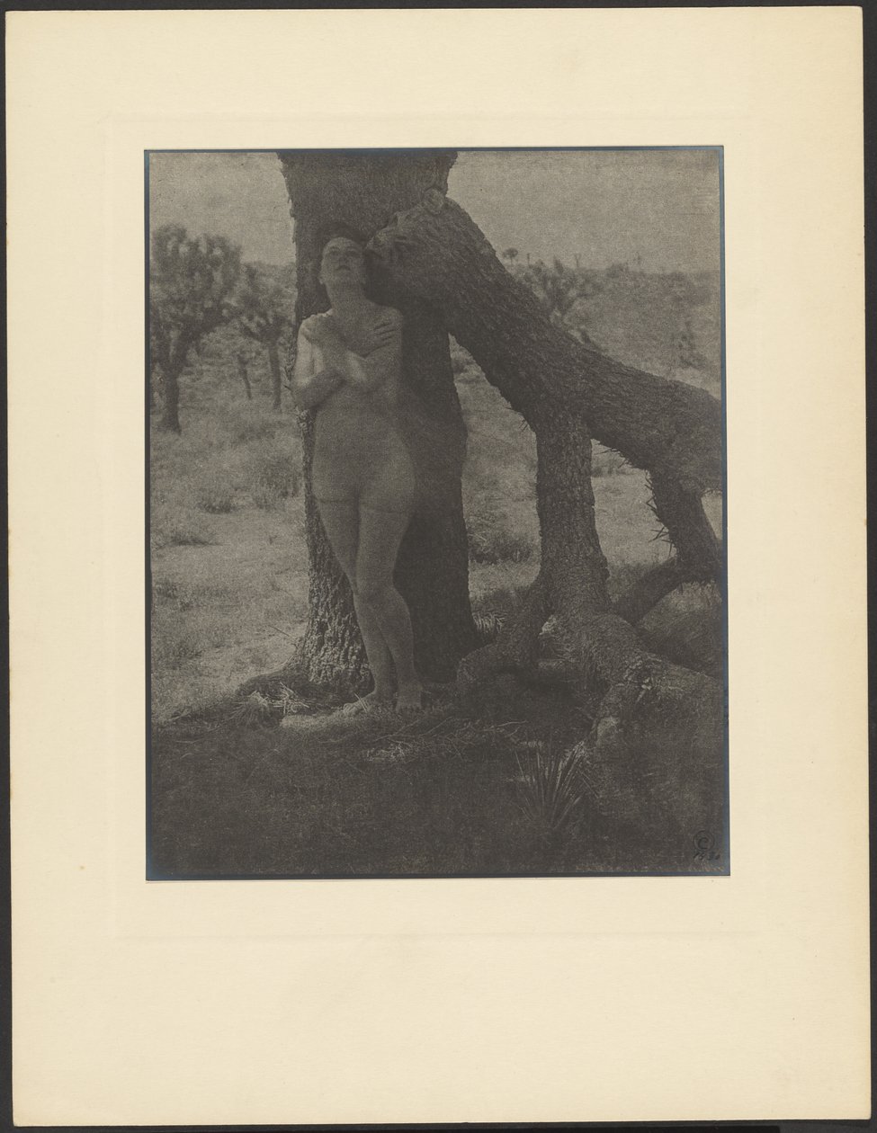  by Louis Fleckenstein