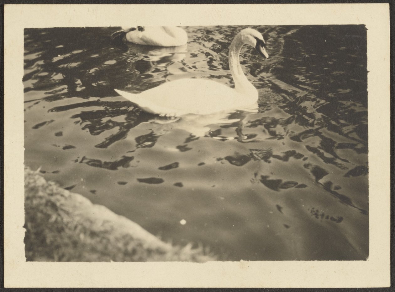  by Louis Fleckenstein