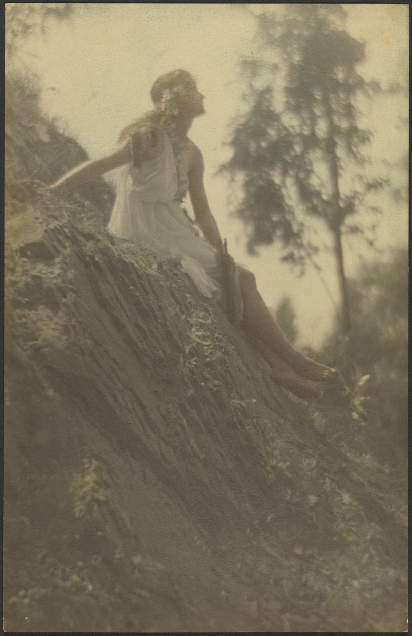  by Louis Fleckenstein