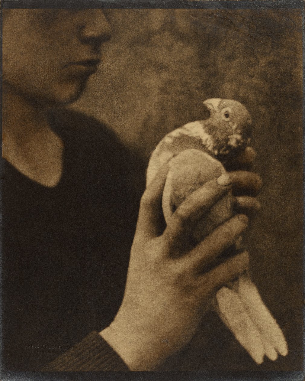  by Louis Fleckenstein