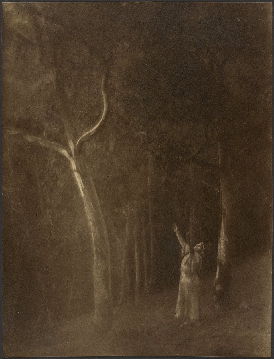  by Louis Fleckenstein