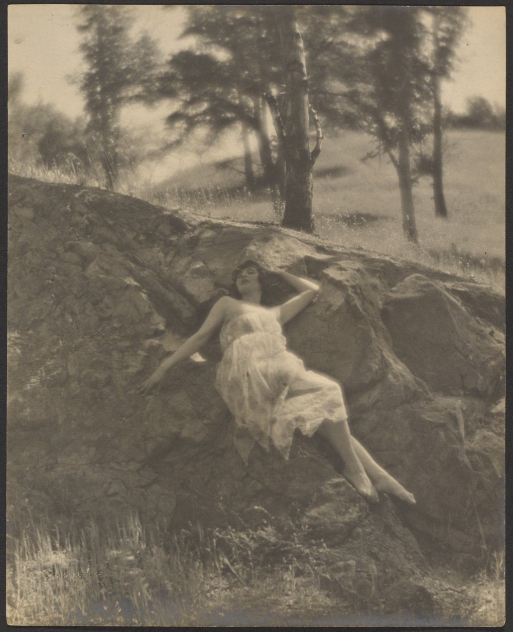  by Louis Fleckenstein