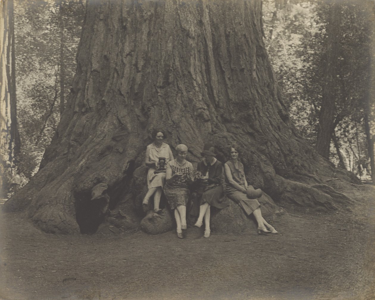  by Louis Fleckenstein