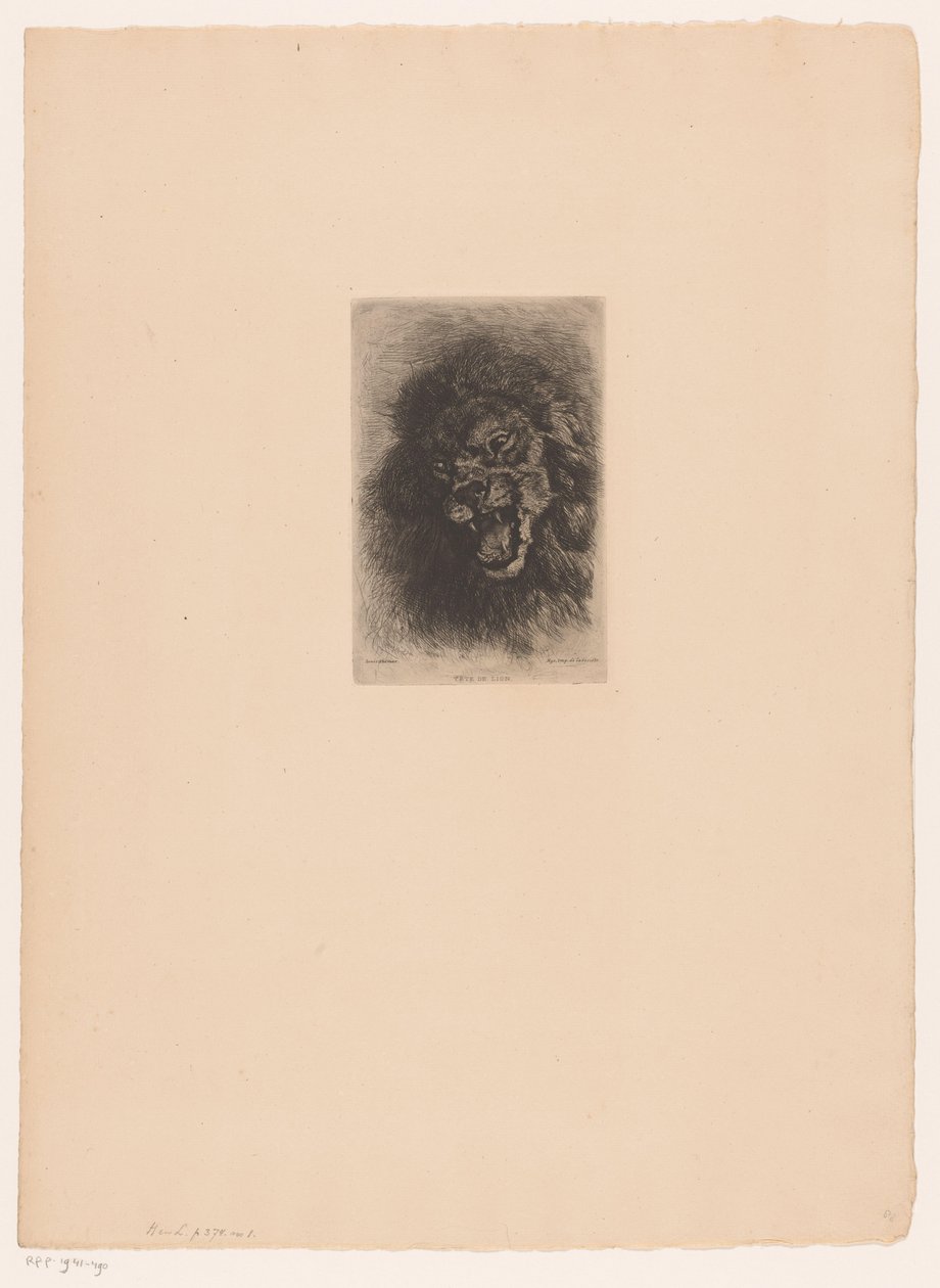 Aslan başı Tete de lion (nesne üzerindeki başlık) by Louis Ghémar