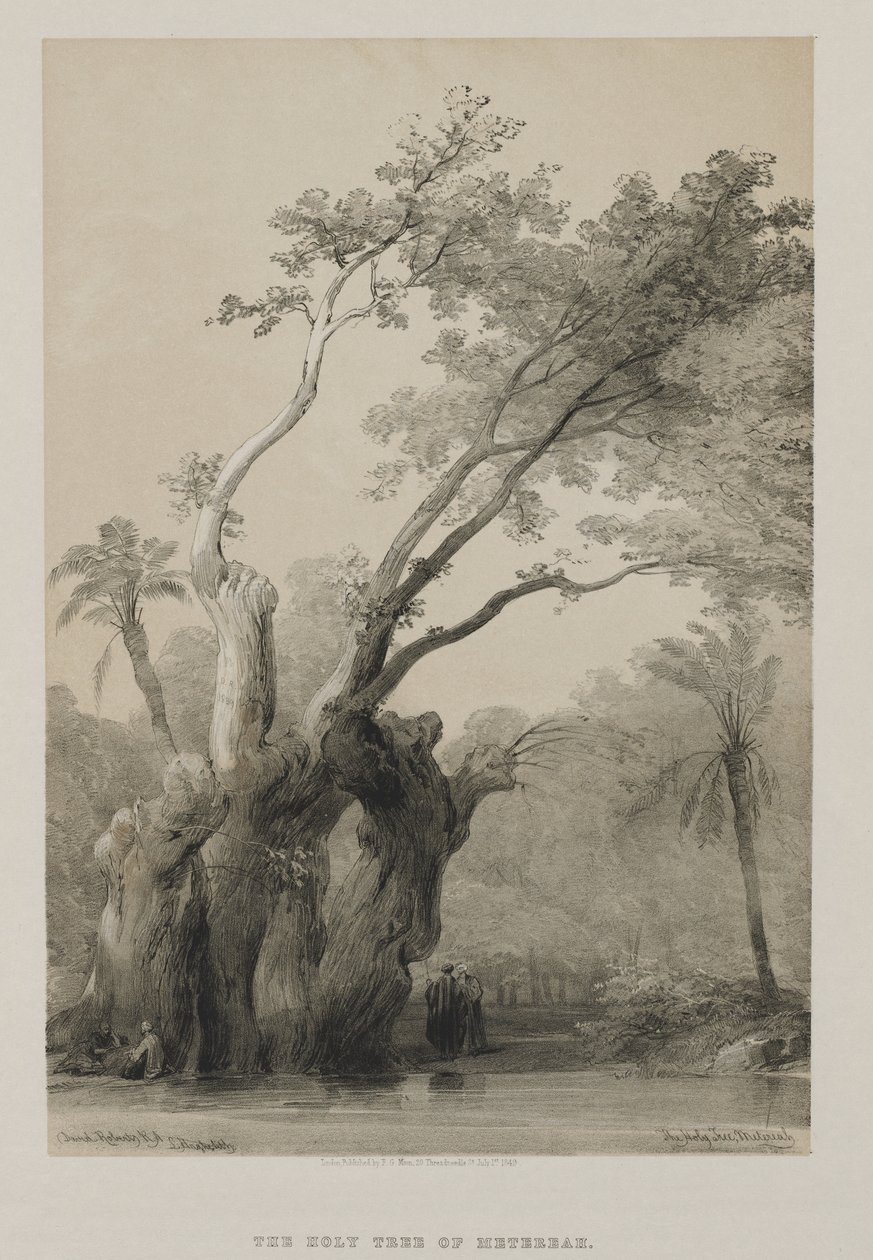 Mısır ve Nubia, Cilt III: Metereah Kutsal Ağacı, 1849. by Louis Haghe