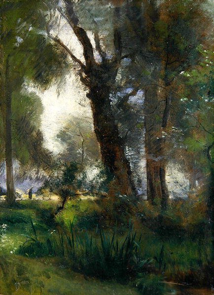 Karlsaue