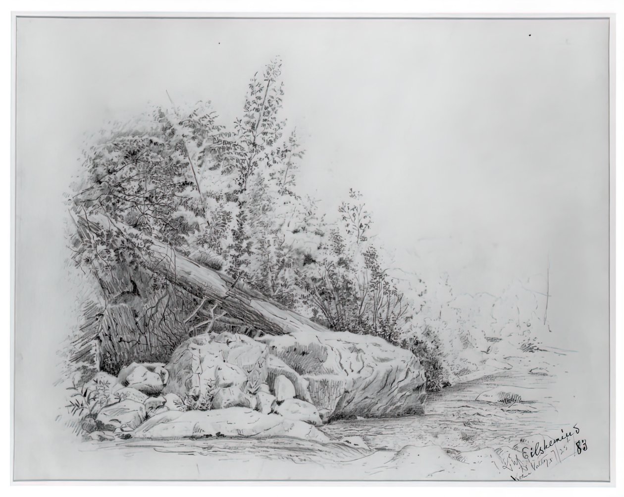 Düşmüş Ağaç, Keene Vadisi, 25 Temmuz 1883. by Louis Michel Eilshemius